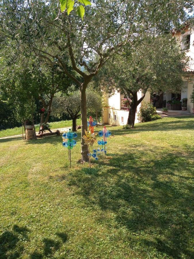 B&B Santa Fosca Pederobba Exteriér fotografie